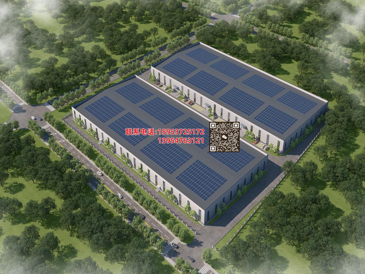 山东派普乐木业新建厂区